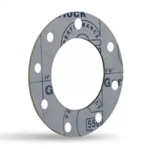 IFG 5500 fogli e guarnzioni piane garlock