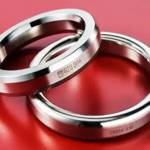 Ring Joint guarnizioni metalliche euroseal