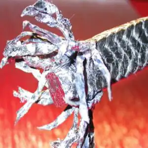Baderna in grafite minerale rinforzata | Euroseal&reg; 2307